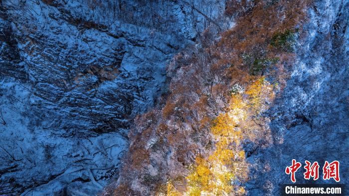 陕西：秦岭薄雪未消金色晨光“缀”崖间